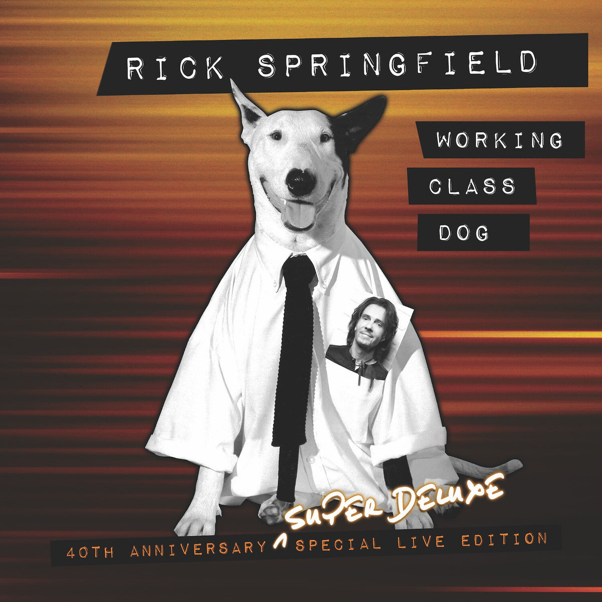 Working Class Dog (40Th Anniv. Special/CD/DVD)