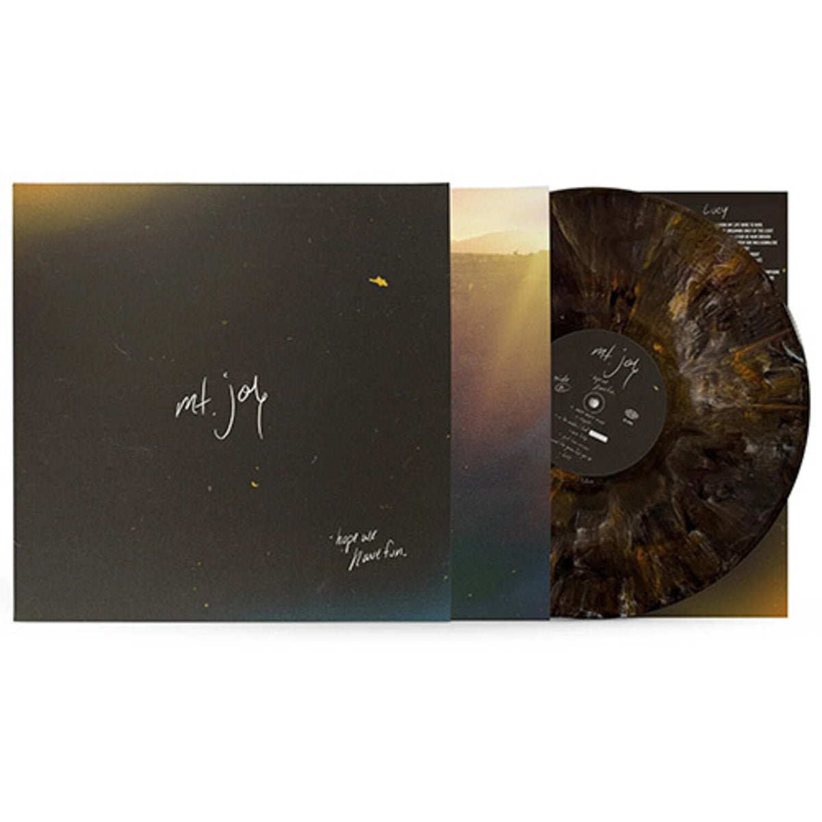 Hope We Have Fun (X) (180G/Coyote Brown LP Vinyl)