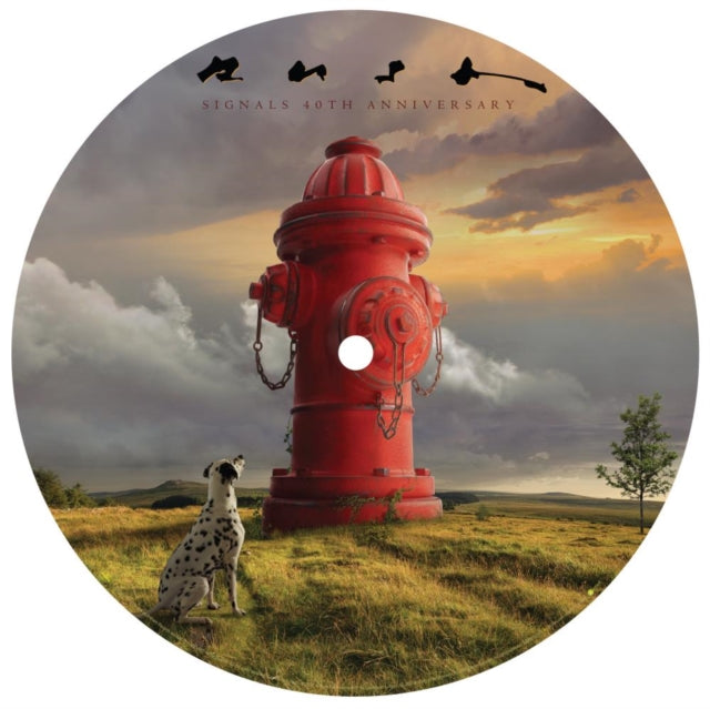 This LP Vinyl is brand new.Format: LP VinylMusic Style: Hard RockThis item's title is: Signals (Picture Disc)Artist: RushLabel: MERCURYBarcode: 602448337900Release Date: 4/28/2023