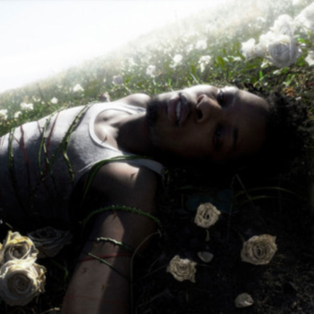 This CD is brand new.Format: CDMusic Style: Indie PopThis item's title is: WitheredArtist: D4vdLabel: Interscope RecordsBarcode: 602475741022Release Date: 4/25/2025