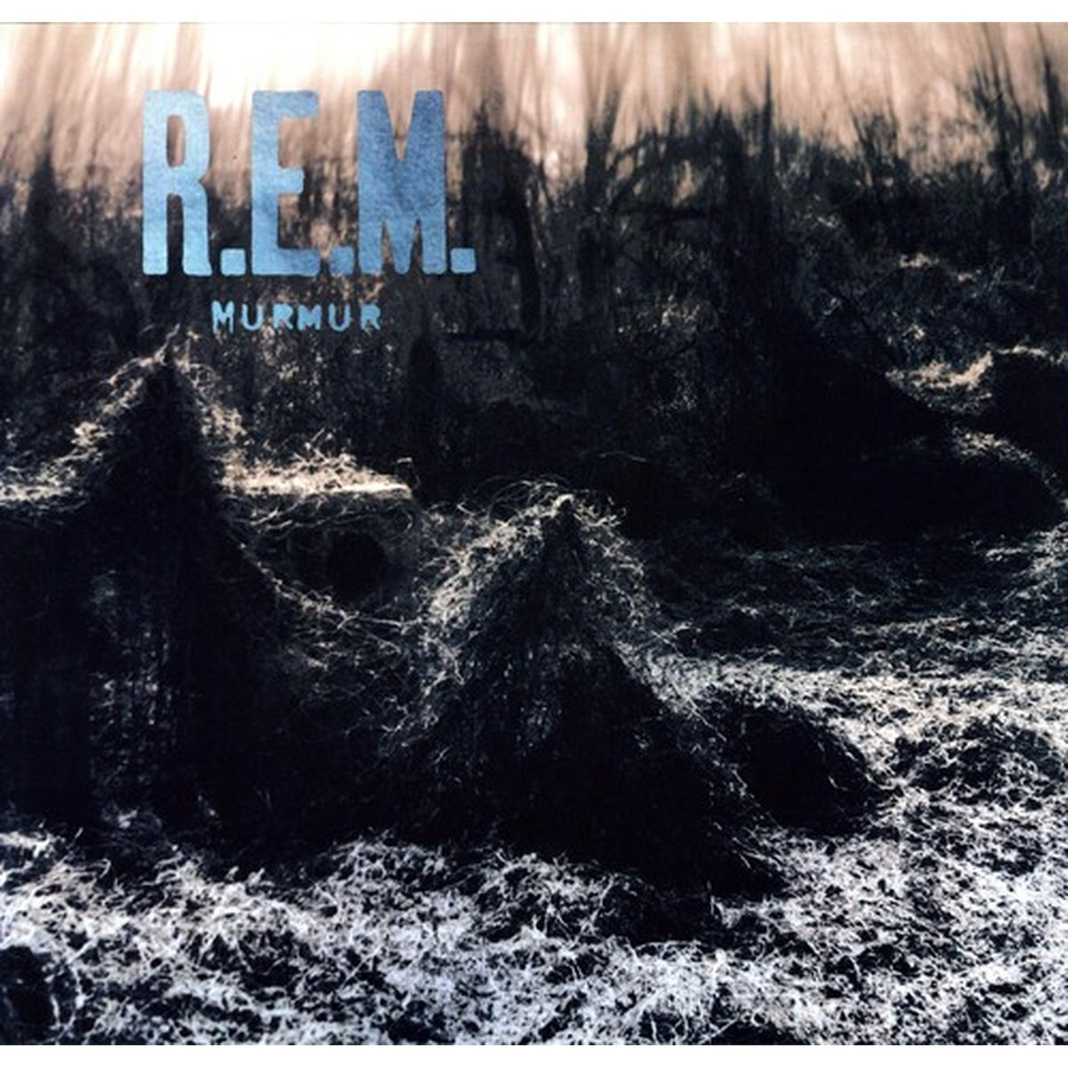 Murmur