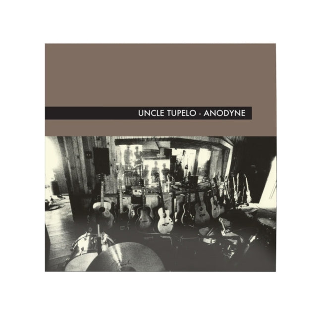 Anodyne