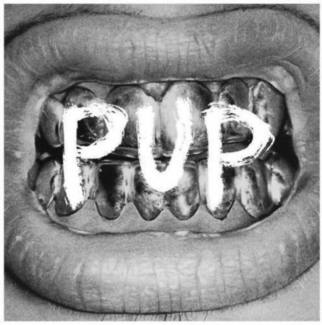 Pup (5Th Annniversary)