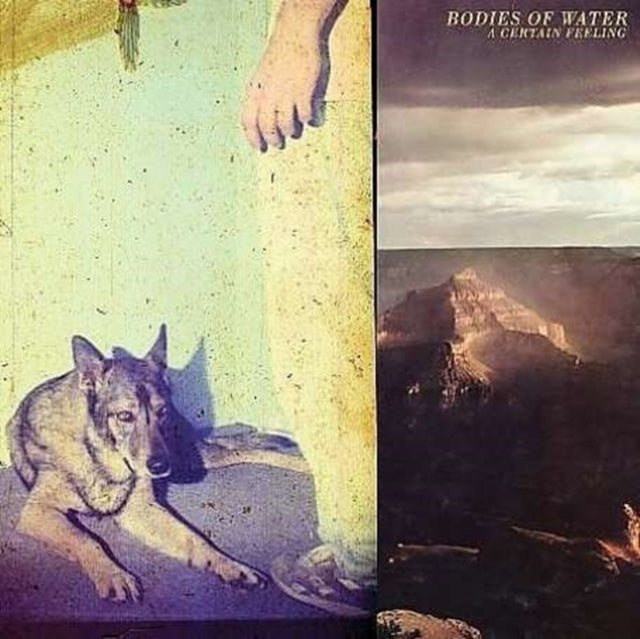 This LP Vinyl is brand new.Format: LP VinylMusic Style: Power PopThis item's title is: Certain FeelingArtist: Bodies Of WaterLabel: SECRETLY CANADIANBarcode: 656605017716Release Date: 7/22/2008