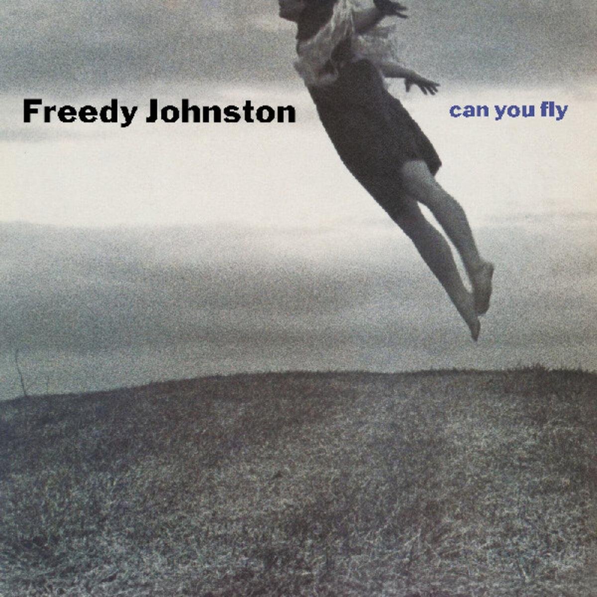 Can You Fly (Clear LP Vinyl)