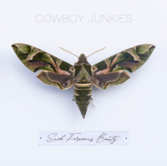 This LP Vinyl is brand new.Format: LP VinylThis item's title is: Such Ferocious Beauty (Translucent Green LP Vinyl)Artist: Cowboy JunkiesLabel: COOKING VINYL LIMITEDBarcode: 711297539387Release Date: 6/2/2023