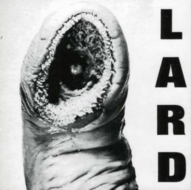 This CD is brand new.Format: CDMusic Style: IndustrialThis item's title is: Power Of LardArtist: LardLabel: Alternative TentaclesBarcode: 721616007220Release Date: 7/25/2025