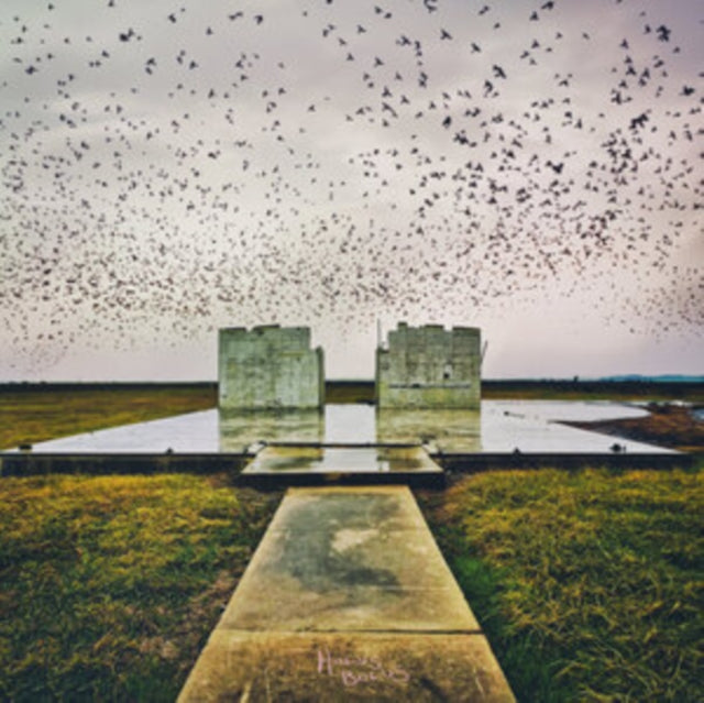 This LP Vinyl is brand new.Format: LP VinylMusic Style: PunkThis item's title is: Holus BolusArtist: Lord BuffaloLabel: United Kids RecordsBarcode: 760137153986Release Date: 7/12/2024