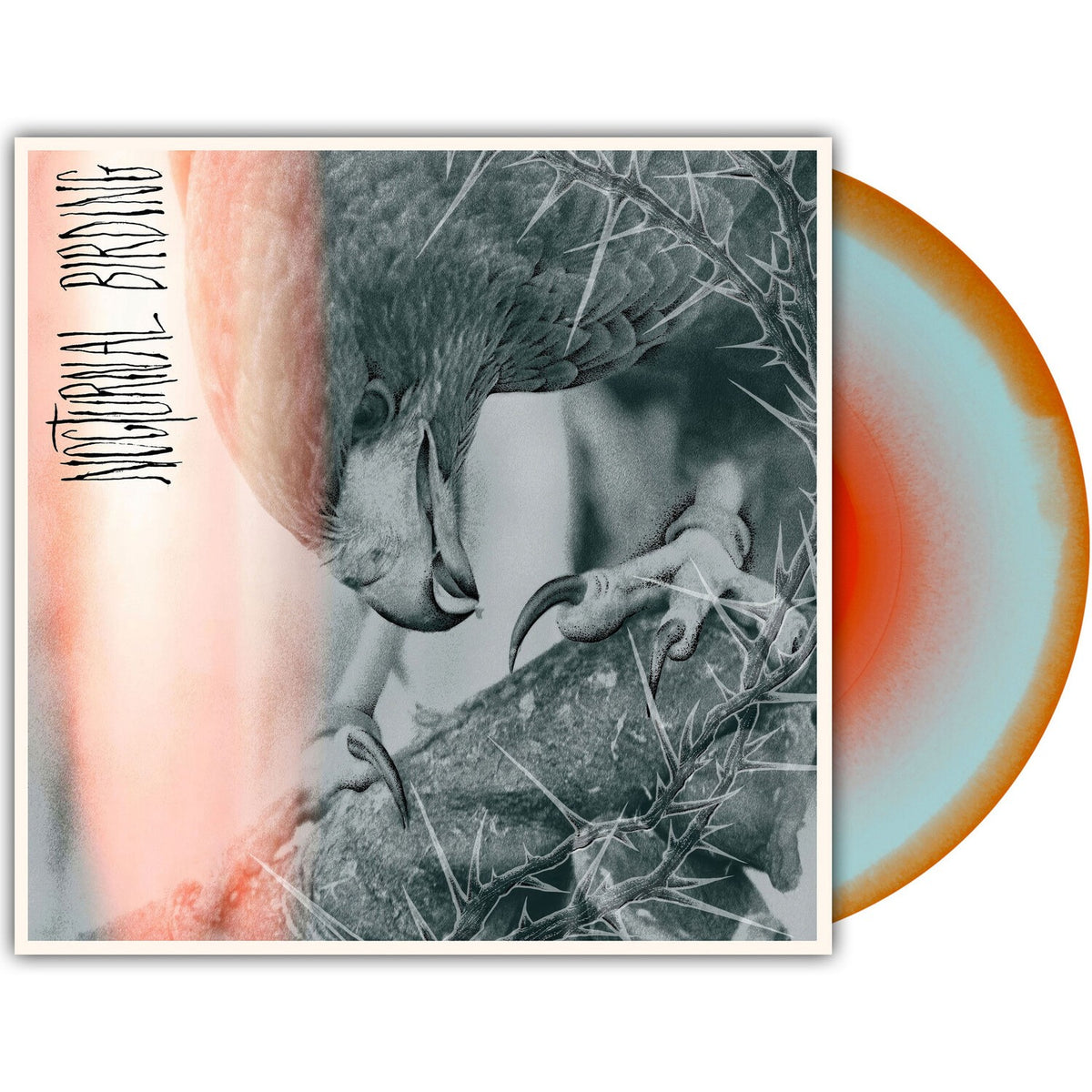 Nocturnal Birding (Custom Merge LP Vinyl)