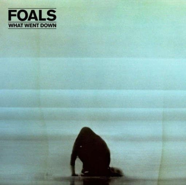 Product Image : This LP Vinyl is brand new.<br>Format: LP Vinyl<br>Music Style: Alternative Rock<br>This item's title is: What Went Down<br>Artist: Foals<br>Label: Warner Bros. Records<br>Barcode: 825646075034<br>Release Date: 8/28/2015