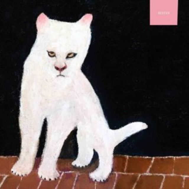 This Music Cassette is brand new.Format: Music CassetteMusic Style: Indie RockThis item's title is: DusterArtist: DusterLabel: NUMERO GROUPBarcode: 825764130264Release Date: 12/13/2019