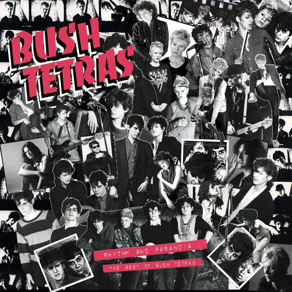 Rhythm & Paranoia: The Best Of Bush Tetras (2CD/Book)