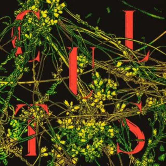 This LP Vinyl is brand new.Format: LP VinylMusic Style: Alternative RockThis item's title is: HostArtist: CultsLabel: SINDERLYNBarcode: 858458007061Release Date: 9/18/2020