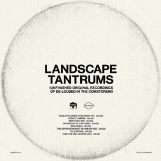 Landscape (Transparent LP Vinyl)