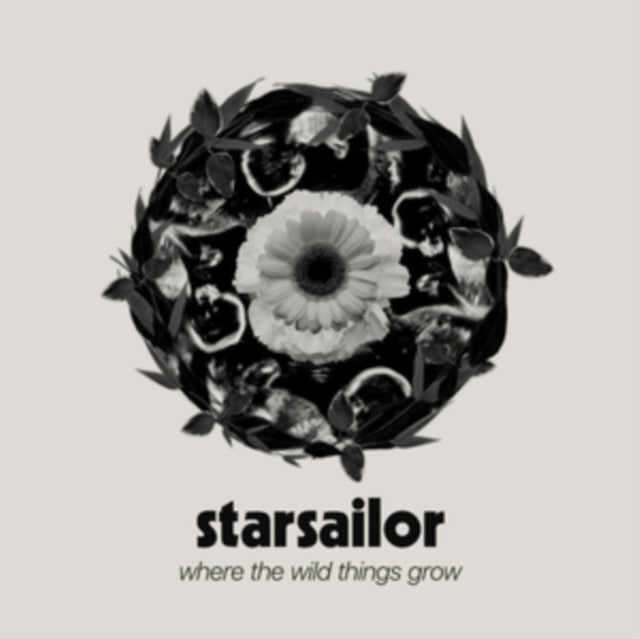 This CD is brand new.Format: CDMusic Style: Indie RockThis item's title is: Where The Wild Things GrowArtist: StarsailorLabel: Townsend MusicBarcode: 5060148575339Release Date: 3/22/2024