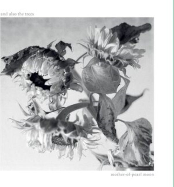 This CD is brand new.Format: CDMusic Style: ColdwaveThis item's title is: Mother-Of-Pearl MoonArtist: & Also The TreesLabel: AATTBarcode: 5063176027023Release Date: 2/23/2024