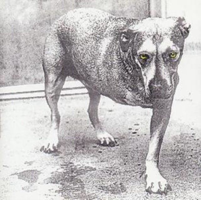 This CD is brand new.Format: CDMusic Style: GrungeThis item's title is: Alice In ChainsArtist: Alice In ChainsBarcode: 5099748111425Release Date: 1/1/2001