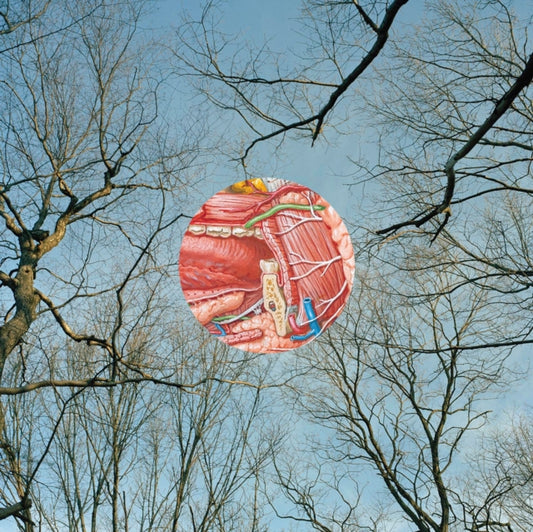 This LP Vinyl is brand new.Format: LP VinylMusic Style: Alternative RockThis item's title is: GleanArtist: They Might Be GiantsLabel: IDLEWILD RECORDINGSBarcode: 020286219422Release Date: 8/7/2015