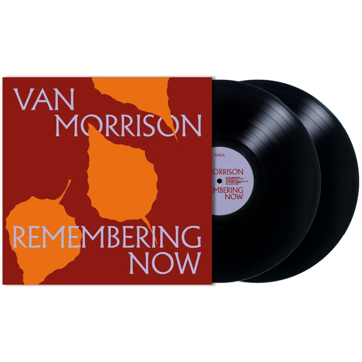 Remembering Now (2LP)