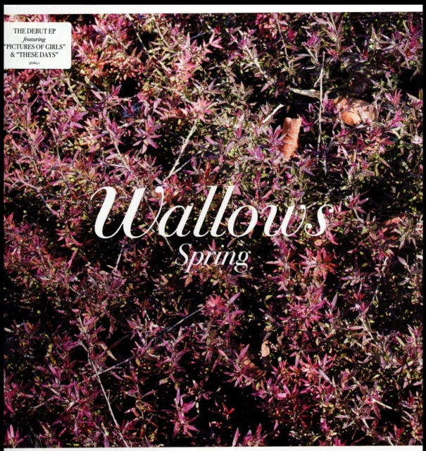 This LP Vinyl is brand new.Format: LP VinylMusic Style: Alternative RockThis item's title is: Spring Ep (X) (Pink & Green LP Vinyl)Artist: WallowsLabel: ATLANTICBarcode: 075678657641Release Date: 5/25/2018