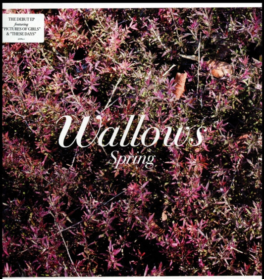 This LP Vinyl is brand new.Format: LP VinylMusic Style: Alternative RockThis item's title is: Spring Ep (X) (Pink & Green LP Vinyl)Artist: WallowsLabel: ATLANTICBarcode: 075678657641Release Date: 5/25/2018