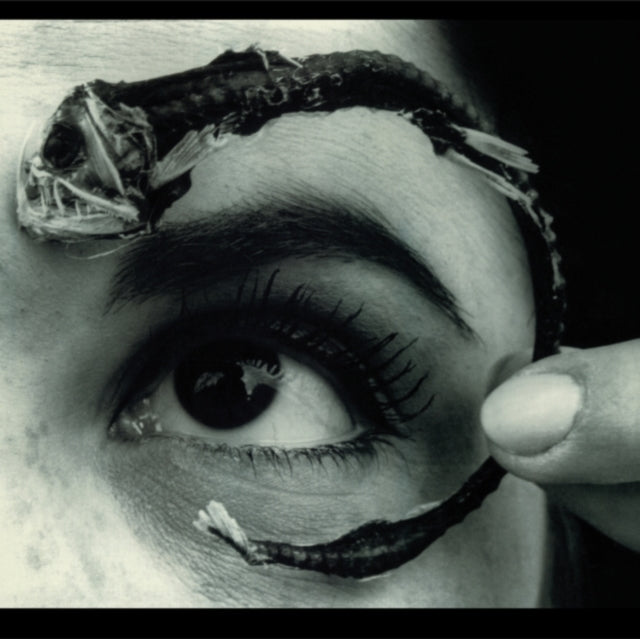 This LP Vinyl is brand new.Format: LP VinylMusic Style: ExperimentalThis item's title is: Disco Volante (2LP/Light Blue Vinyl) (X) (Rocktober)Artist: Mr. BungleLabel: Rhino Records (2)Barcode: 081227809584Release Date: 10/24/2025