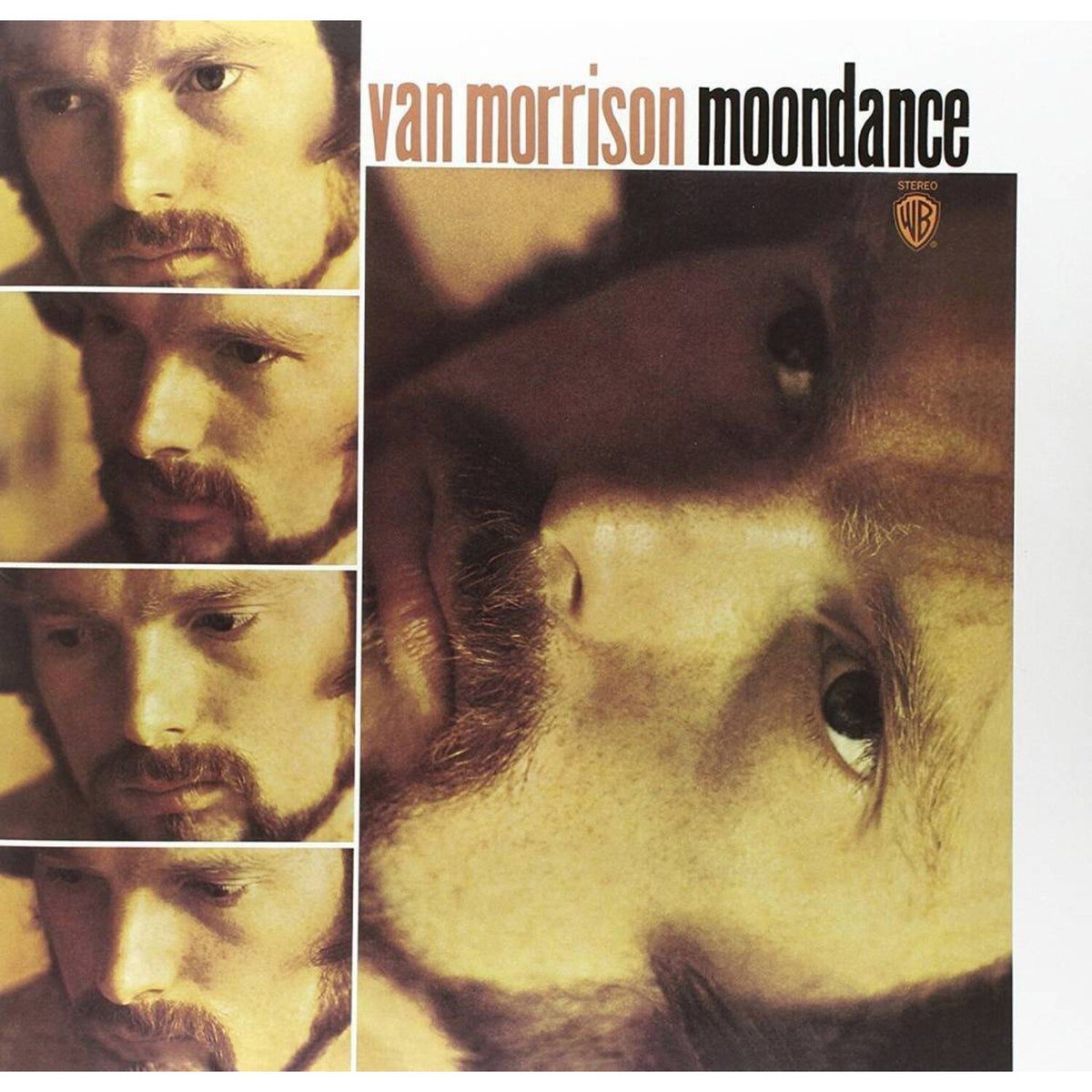 Moondance