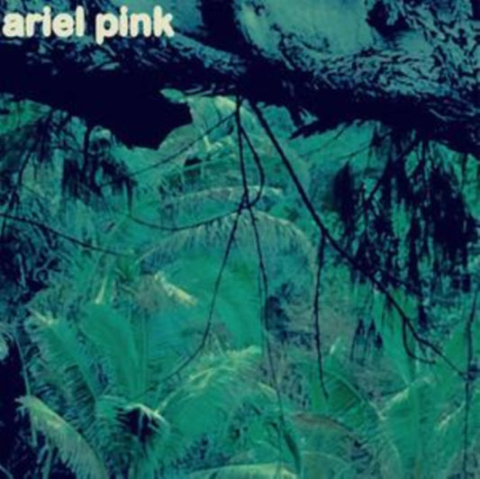 This LP Vinyl is brand new.Format: LP VinylMusic Style: Lo-FiThis item's title is: Odditties Sodomies Vol. 3Artist: Ariel PinkLabel: MEXICAN SUMMERBarcode: 184923127515Release Date: 1/29/2021