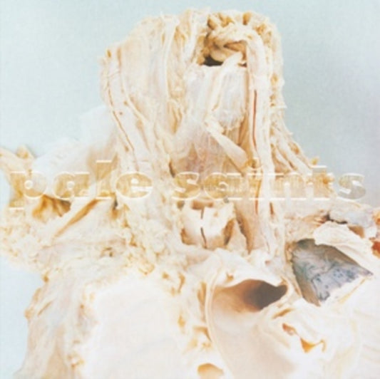This LP Vinyl is brand new.Format: LP VinylMusic Style: ShoegazeThis item's title is: In Ribbons (Deluxe Edition/2LP)Artist: Pale SaintsLabel: 4ADBarcode: 191400040700Release Date: 10/6/2023