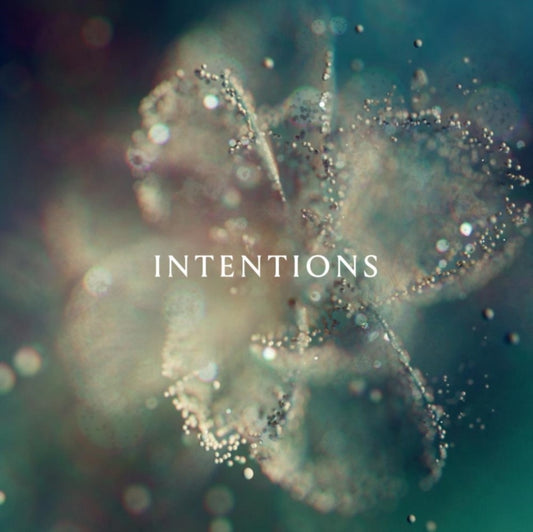 This LP Vinyl is brand new.Format: LP VinylMusic Style: Indie RockThis item's title is: Intentions (2LP)Artist: AnnaLabel: MERCURY KXBarcode: 602445712748Release Date: 5/19/2023