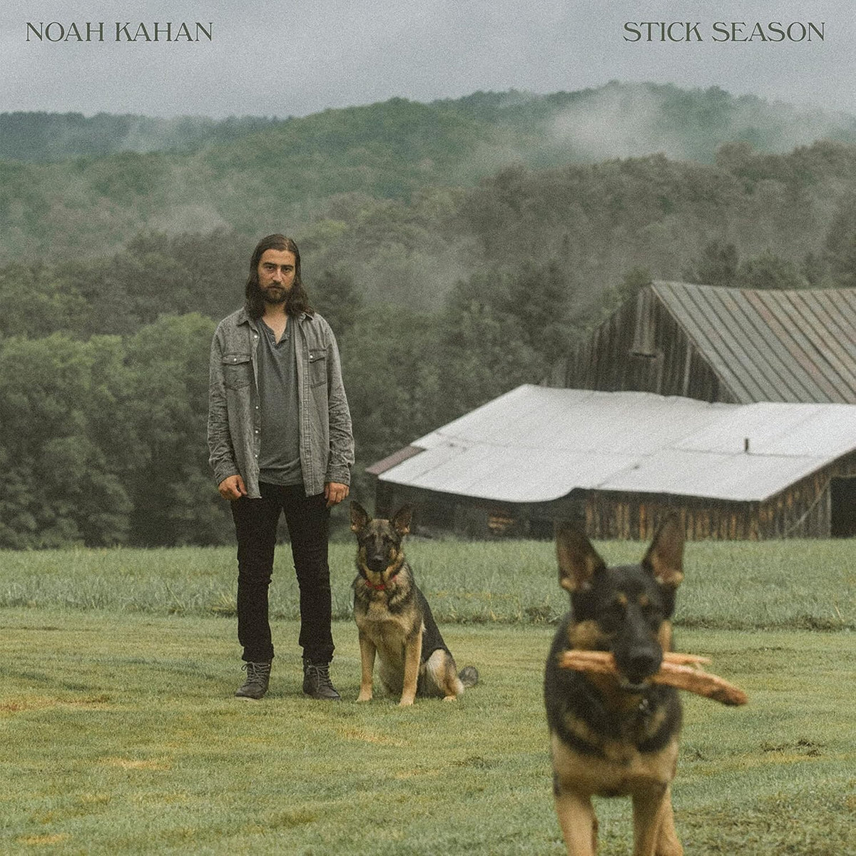 Stick Season (2LP)