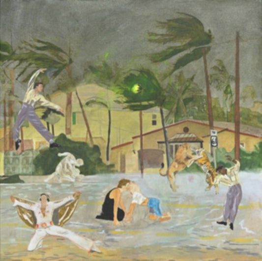 This LP Vinyl is brand new.Format: LP VinylThis item's title is: Let's Go Dancing: Said The Firefly To The Hurricane (Emerald Green LP Vinyl)Artist: Various ArtistsLabel: Tasty Goody RecordsBarcode: 636657038723Release Date: 1/17/2025
