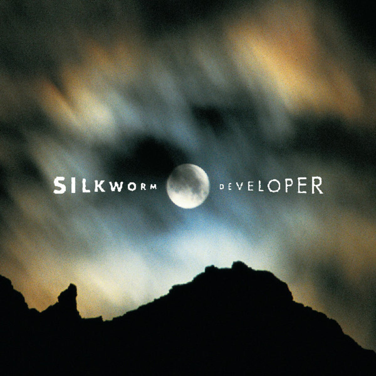 Developer (Deluxe Edition/2LP)