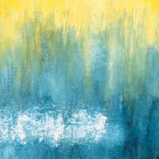 This LP Vinyl is brand new.Format: LP VinylMusic Style: Indie RockThis item's title is: Neva Dinova (Transparent Teal LP Vinyl)Artist: Neva DinovaLabel: SADDLE CREEKBarcode: 648401012415Release Date: 8/26/2022