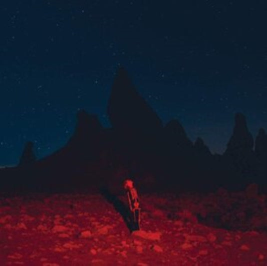 This LP Vinyl is brand new.Format: LP VinylMusic Style: Indie RockThis item's title is: PunisherArtist: Phoebe BridgersLabel: DEAD OCEANSBarcode: 656605150017Release Date: 6/19/2020