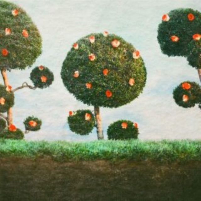 This LP Vinyl is brand new.Format: LP VinylThis item's title is: Painting The RosesArtist: Midnight SisterLabel: JAGJAGUWARBarcode: 656605237015Release Date: 1/15/2021