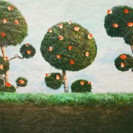 This LP Vinyl is brand new.Format: LP VinylThis item's title is: Painting The RosesArtist: Midnight SisterLabel: JAGJAGUWARBarcode: 656605237015Release Date: 1/15/2021