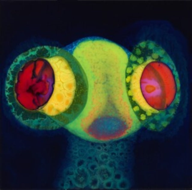 This LP Vinyl is brand new.Format: LP VinylMusic Style: Psychedelic RockThis item's title is: Sorcs 80Artist: OseesLabel: Castle FaceBarcode: 657628446415Release Date: 8/9/2024