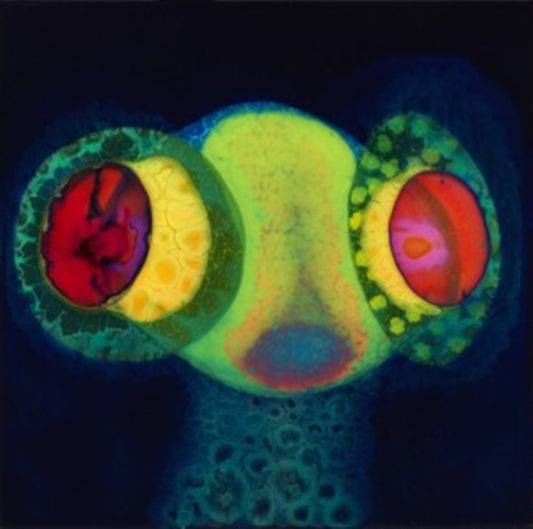 This LP Vinyl is brand new.Format: LP VinylMusic Style: Psychedelic RockThis item's title is: Sorcs 80Artist: OseesLabel: Castle FaceBarcode: 657628446415Release Date: 8/9/2024