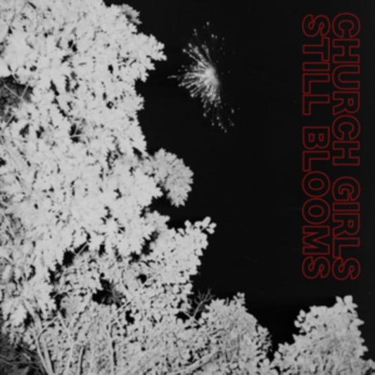 This CD is brand new.Format: CDMusic Style: Indie RockThis item's title is: Still BloomsArtist: Church GirlsLabel: ANCHOR EIGHTY-FOURBarcode: 671983813811Release Date: 10/8/2021