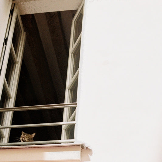 This CD is brand new.Format: CDMusic Style: Post-PunkThis item's title is: Something SoftArtist: M(H)AolLabel: Merge RecordsBarcode: 673855087320Release Date: 5/16/2025