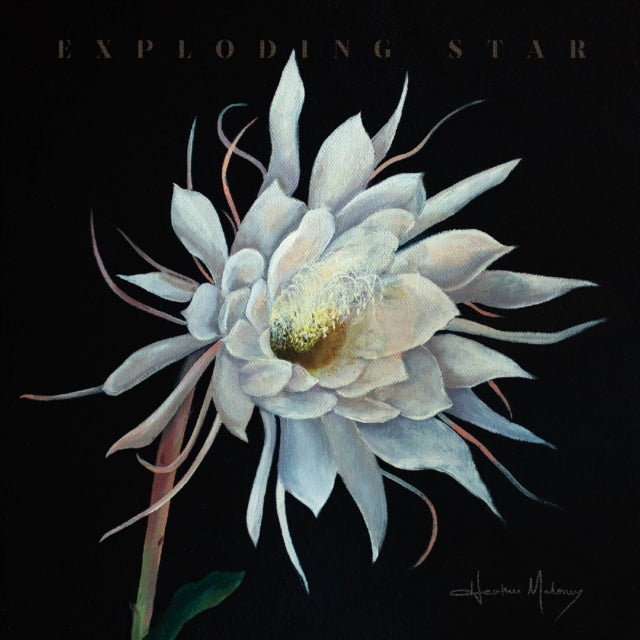 This LP Vinyl is brand new.Format: LP VinylMusic Style: Indie RockThis item's title is: Exploding StarArtist: Heather MaloneyLabel: Signature SoundsBarcode: 701237705927Release Date: 1/31/2025