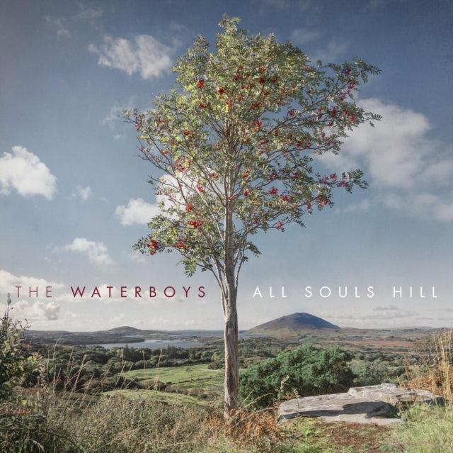 This CD is brand new.Format: CDMusic Style: Prog RockThis item's title is: All Souls HillArtist: WaterboysBarcode: 711297531923Release Date: 5/6/2022
