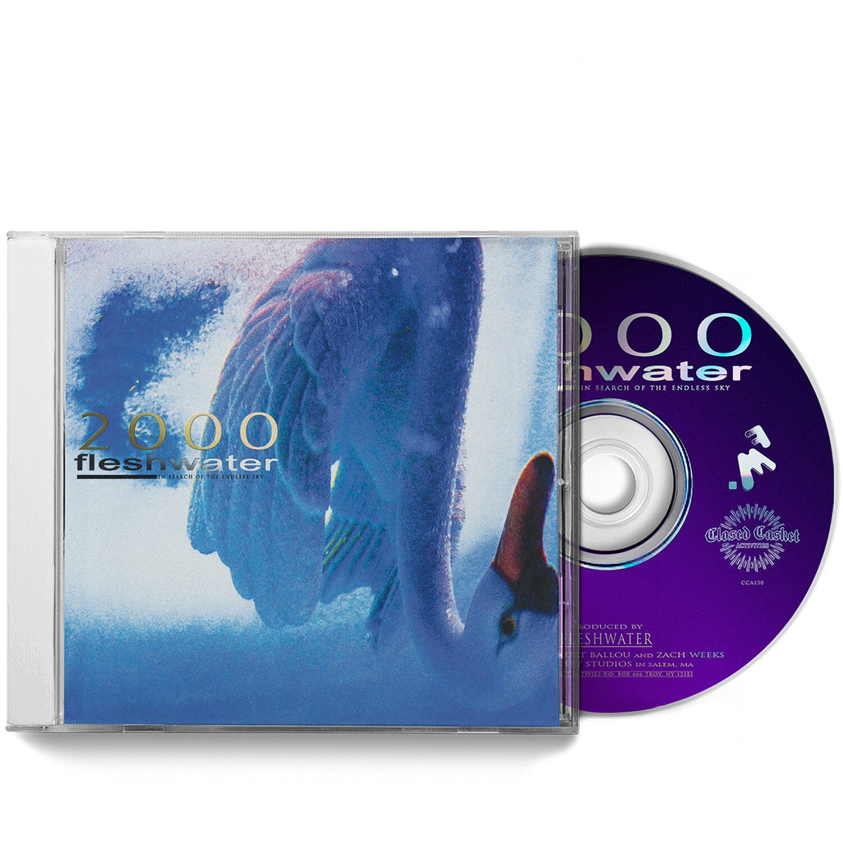2000: In Search Of The Endless Sky