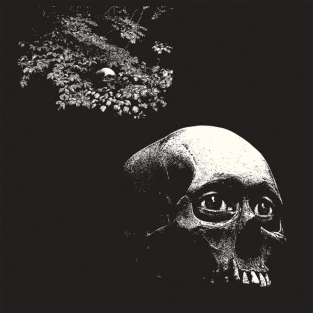 This LP Vinyl is brand new.Format: LP VinylMusic Style: Pop RockThis item's title is: Foul FormArtist: OseesLabel: CASTLE FACEBarcode: 733102725716Release Date: 8/12/2022