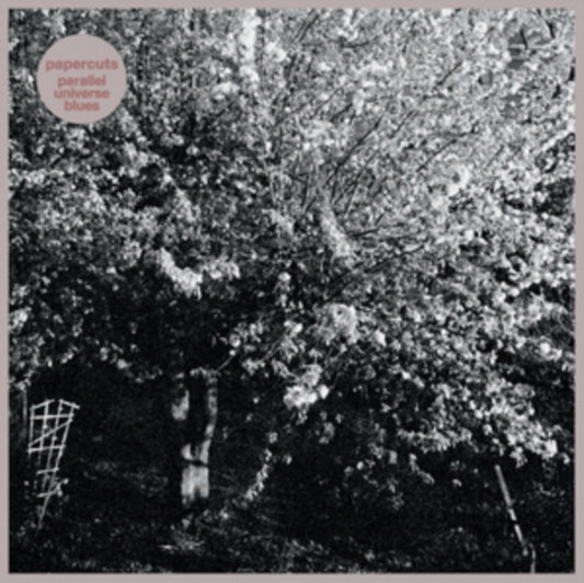 This LP Vinyl is brand new.Format: LP VinylMusic Style: Art RockThis item's title is: Parallel Universe BluesArtist: PapercutsLabel: SLUMBERLAND RECORDSBarcode: 749846123619Release Date: 5/13/2022