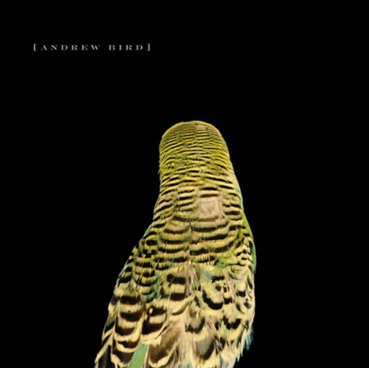 This CD is brand new.Format: CDMusic Style: Folk RockThis item's title is: Armchair ApocryphaArtist: Andrew BirdLabel: Fat Possum RecordsBarcode: 767981105826Release Date: 3/16/2007