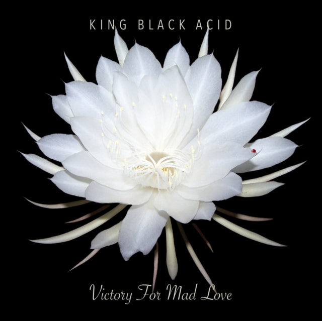 This LP Vinyl is brand new.Format: LP VinylThis item's title is: Victory For Mad LoveArtist: King Black AcidLabel: Cavity SearchBarcode: 789507018021Release Date: 4/20/2024