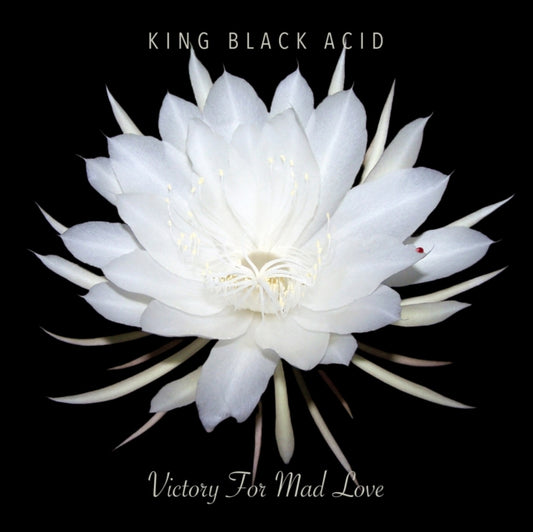 This LP Vinyl is brand new.Format: LP VinylThis item's title is: Victory For Mad LoveArtist: King Black AcidLabel: Cavity SearchBarcode: 789507018021Release Date: 4/20/2024