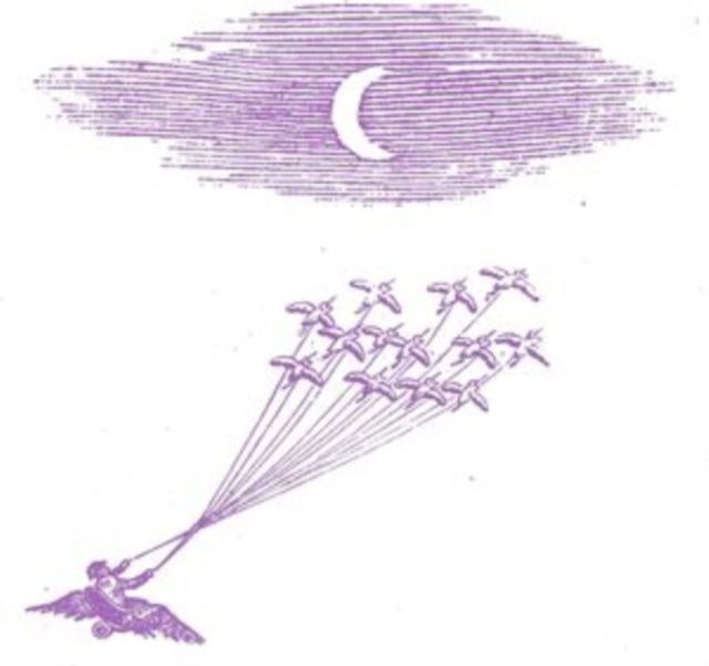 This LP Vinyl is brand new.Format: LP VinylMusic Style: Indie RockThis item's title is: Migration MagicArtist: Feeling FiguresLabel: PerennialBarcode: 789856129416Release Date: 11/24/2023